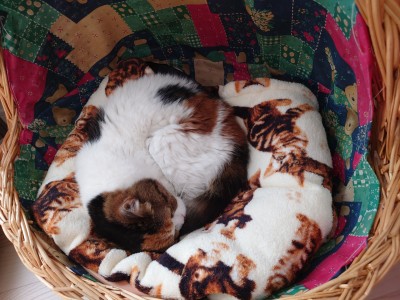 IMG_20251121_101832_427